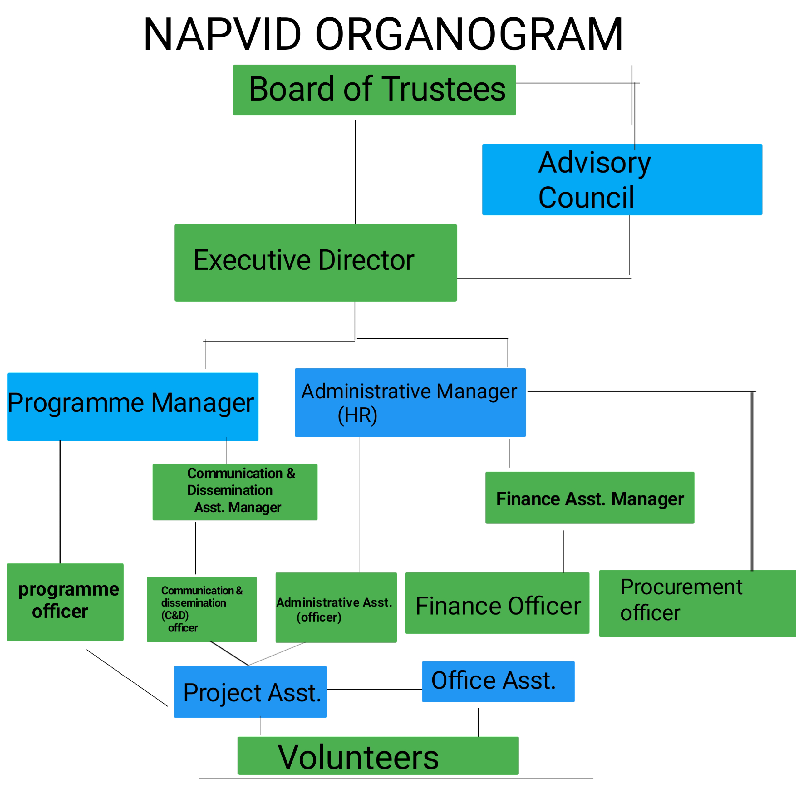 napvid organogram